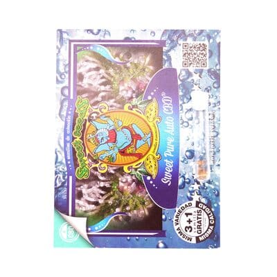 Sweet Pure Auto CBD > Sweet Seeds | CBD Hanfsamen  |  Hybrid